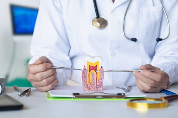 Best Emergency Wisdom Teeth Removal in Concord, MI